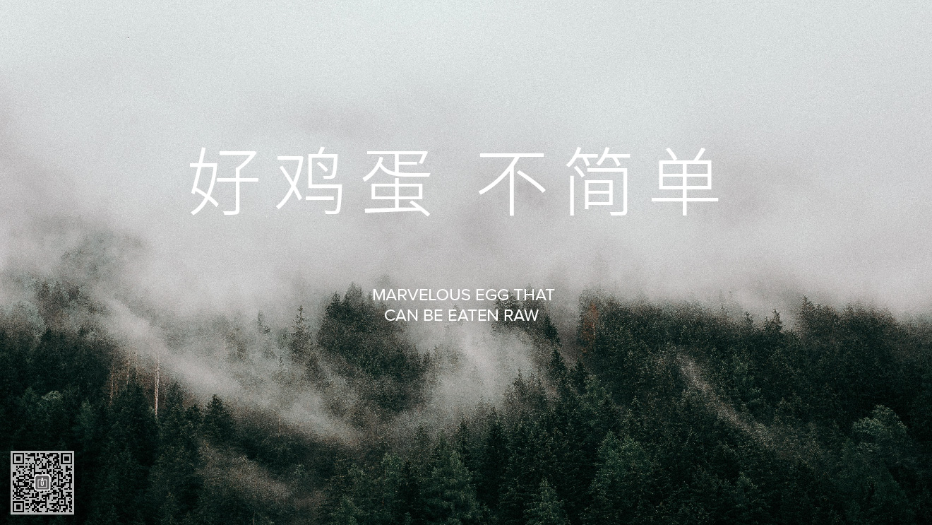 企業(yè)形象設(shè)計(jì)、凸顯品牌個(gè)性